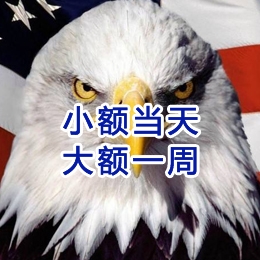 正蓝要账公司